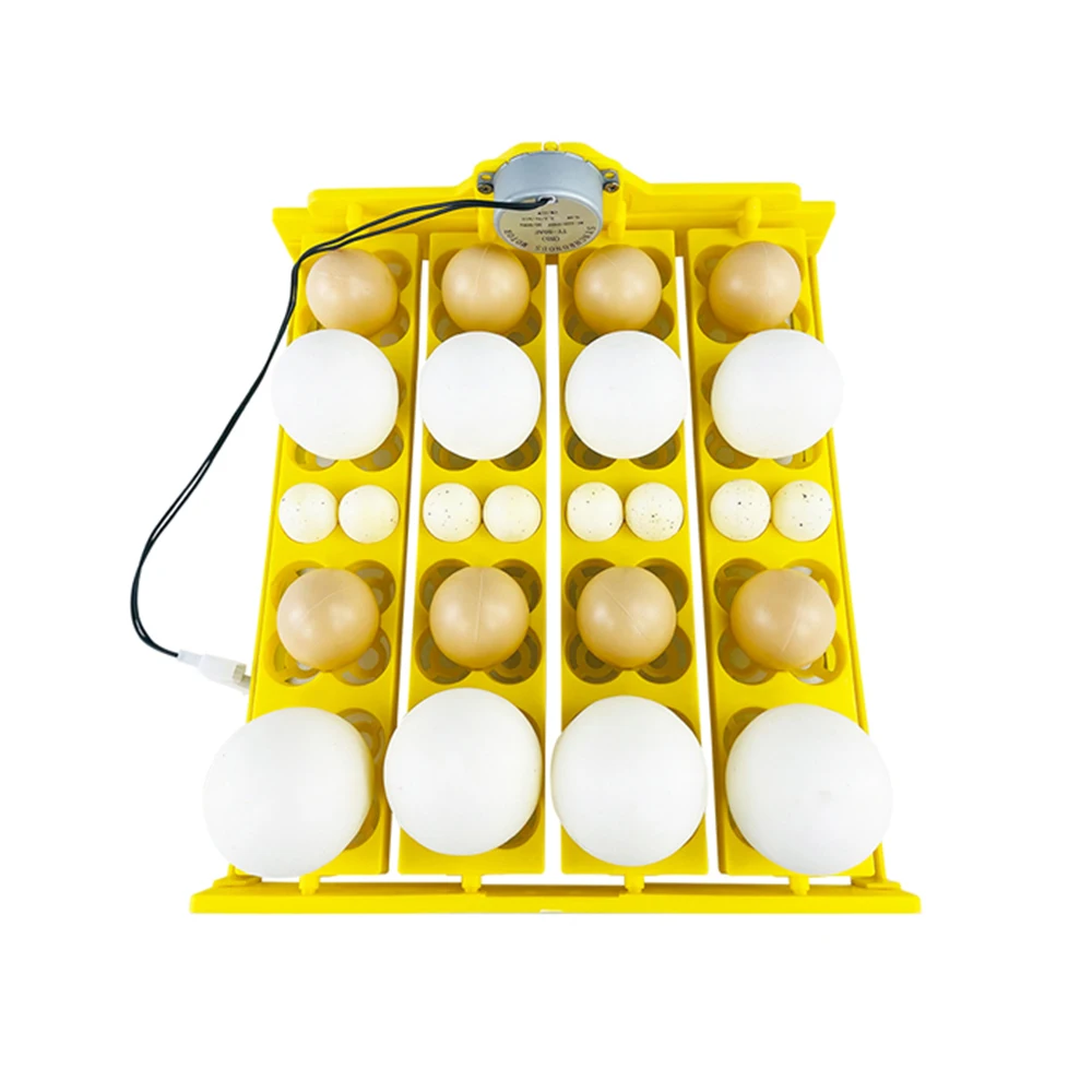 

110V 220V 16-72 Eggs Incubator for Chicken Goose Bird Quail Automatic Turn The Egg Incubation Equipment Hatchery Incubation Tool