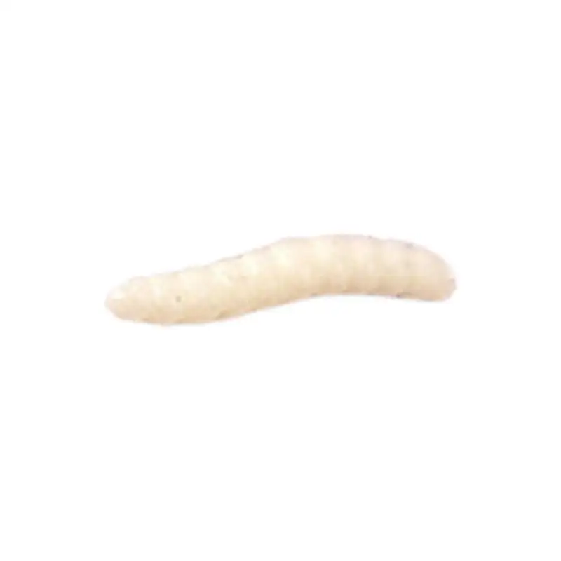 Poop Toy Funny Fidget Toy Fake Fly Set Halloween Decor Poop Toys Realistic Prank Props Tricky Toy Halloween Accessories For
Poop Toy Funny Fidget Toy Fake Fly Set Halloween Decor Poop Toys Realistic Prank Props Tricky Toy Halloween Accessories For