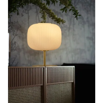 Table Lamp in Brass Finished with Bulb E27 Nordic Decorative Table Lamp Light pendant lights lamps for living room
Table Lamp in Brass Finished with Bulb E27 Nordic Decorative Table Lamp Light pendant lights lamps for living room