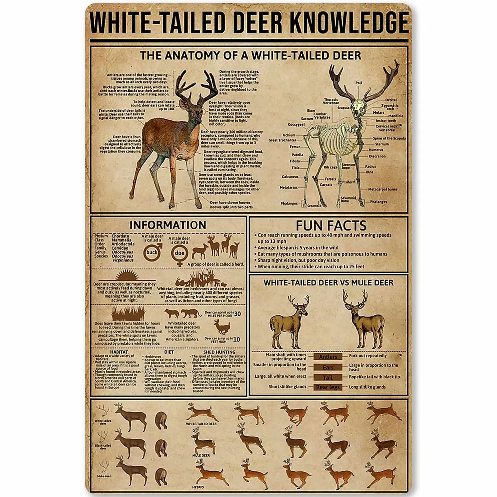Metal Tin Sign White-Tailed Deer Knowledge Hunting Knowledge Poster Unplaning Infographics Farmhouse Farm Home Kitchen Club Wall
Metal Tin Sign White-Tailed Deer Knowledge Hunting Knowledge Poster Unplaning Infographics Farmhouse Farm Home Kitchen Club Wall