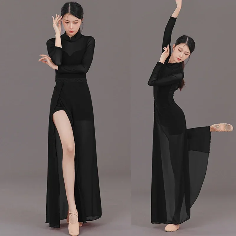 

China Folk Classical Training Cheongsam Dance Clothes Women Split Hollow Dancing Special Performance Ancient Chinese Costume