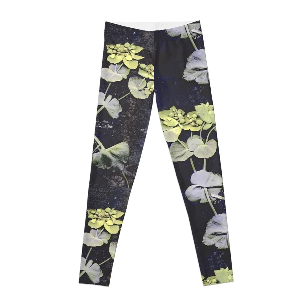 Garrigue Leggings sportswear for gym legging gym sporty woman gym for physical Womens Leggings
Garrigue Leggings sportswear for gym legging gym sporty woman gym for physical Womens Leggings
