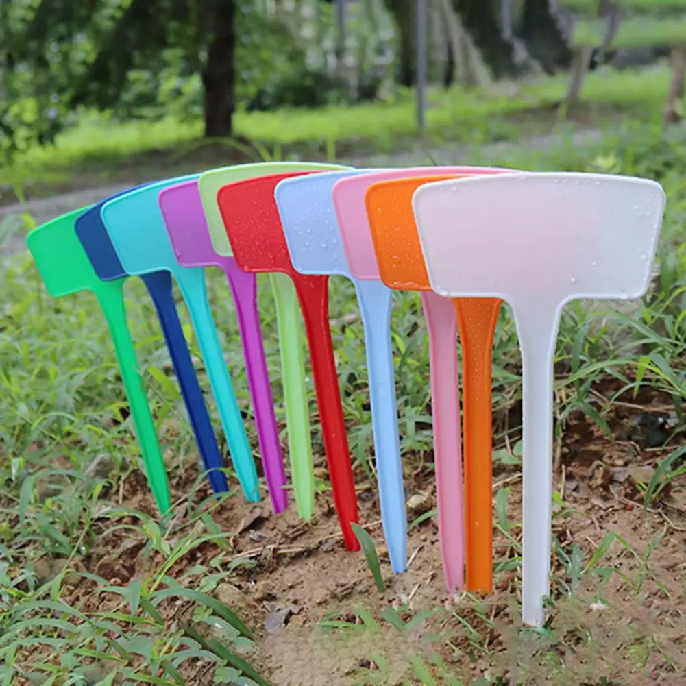 10Pcs/Set T-Shape Plastic Plant Tags Waterproof Flower Seed Varieties Tagging Marker Garden Labels Plaques For Plants Sign
10Pcs/Set T-Shape Plastic Plant Tags Waterproof Flower Seed Varieties Tagging Marker Garden Labels Plaques For Plants Sign