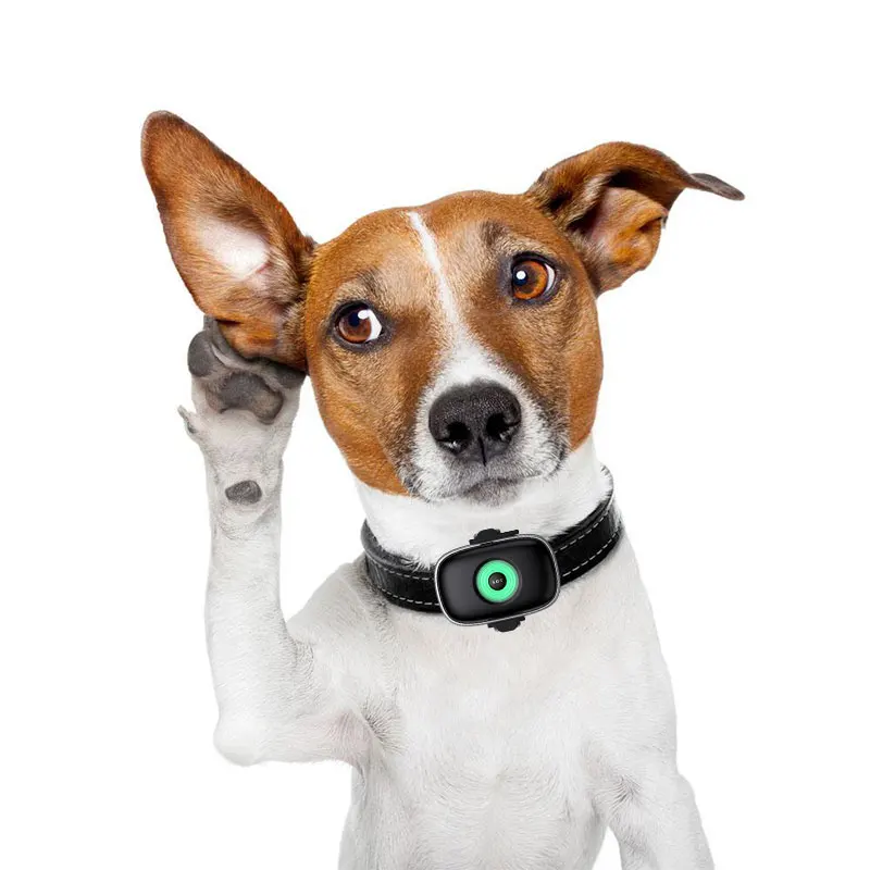 GPS Dog Tracker Waterproof Location Activity Unlimited Range Works with Any Collar smart 4g Pet Tracker
GPS Dog Tracker Waterproof Location Activity Unlimited Range Works with Any Collar smart 4g Pet Tracker