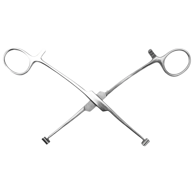 Septum Forcep Stainless Steel Needle Clamp, Body Piercing Tool Professional Puncture Tool For Eyebrow Pierced
Septum Forcep Stainless Steel Needle Clamp, Body Piercing Tool Professional Puncture Tool For Eyebrow Pierced