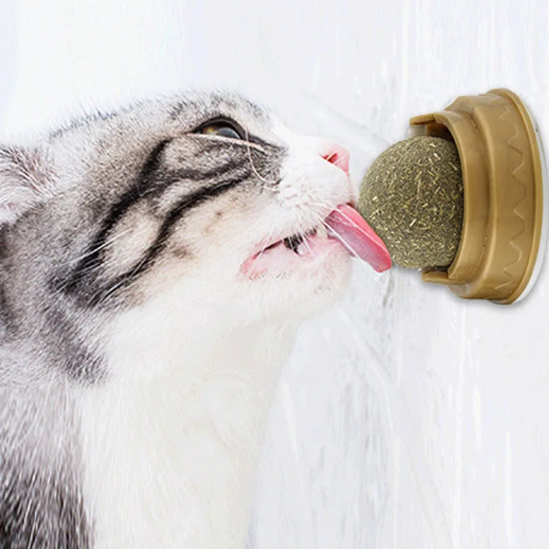 Healthy Natural Removes Hair Balls to Promote Digestion Cat Grass Snack Pet Natural Catnip Cat Wall Stick-on Ball Toy Treats
Healthy Natural Removes Hair Balls to Promote Digestion Cat Grass Snack Pet Natural Catnip Cat Wall Stick-on Ball Toy Treats