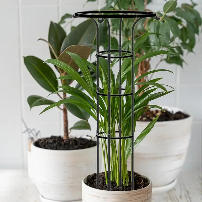Vertical Metal Garden Trellis Umbrella Tower Plant Trellis Garden Plant Indoor Plant Trellis Vertical Garden Plants Climbing
Vertical Metal Garden Trellis Umbrella Tower Plant Trellis Garden Plant Indoor Plant Trellis Vertical Garden Plants Climbing