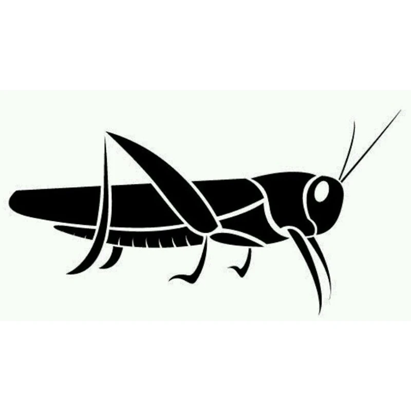 

Grasshopper Vinyl Decal Locust Insect Sticker Fits Kids Wall Car Window Door Fuel Tank Cap Decor Cool Graphic,18cm*9cm