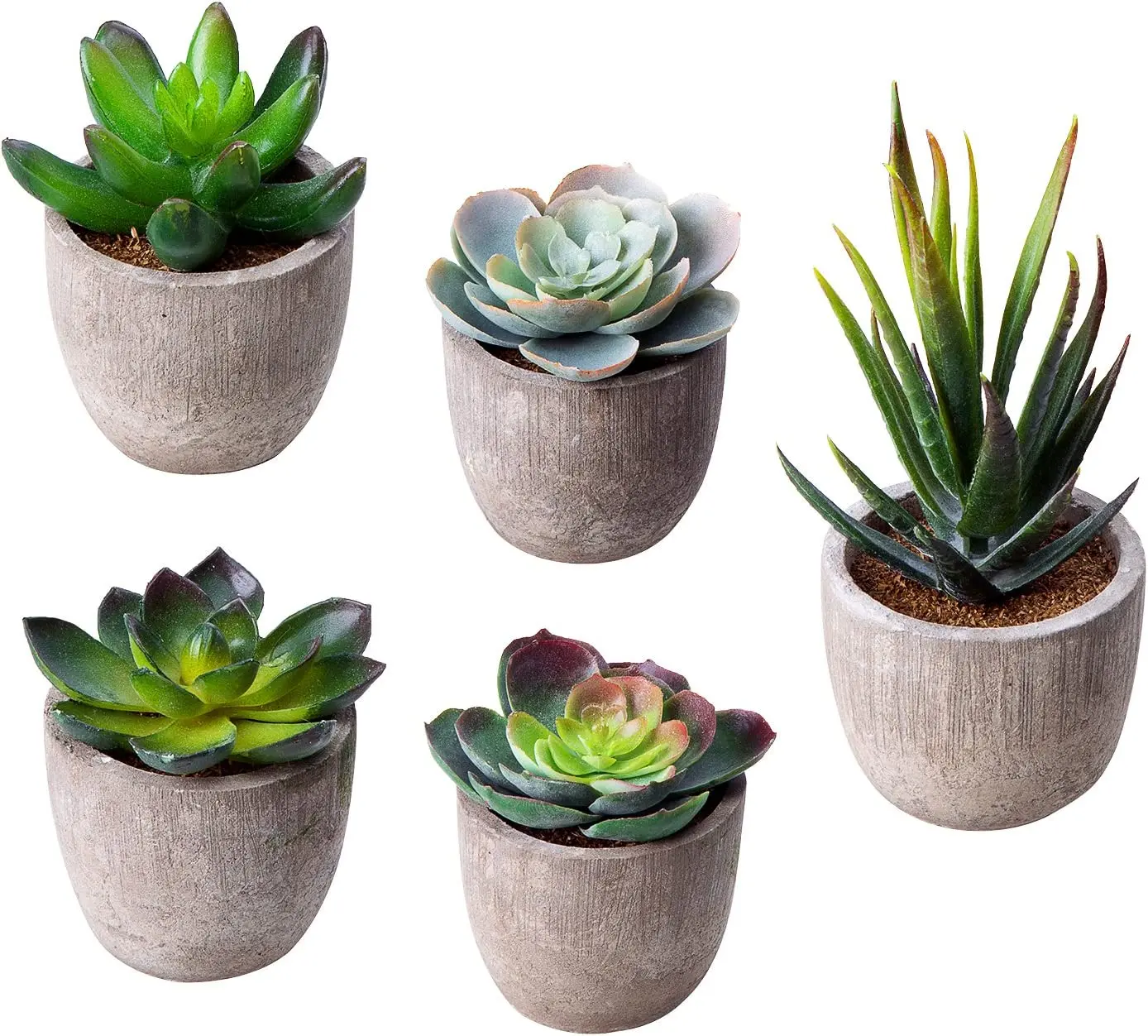 Fake Plants Artificial Succulent Plants Assorted Decorative Faux Succulent Potted Fake Cactus Cacti Plants Gray Pots, Set of 5
Fake Plants Artificial Succulent Plants Assorted Decorative Faux Succulent Potted Fake Cactus Cacti Plants Gray Pots, Set of 5