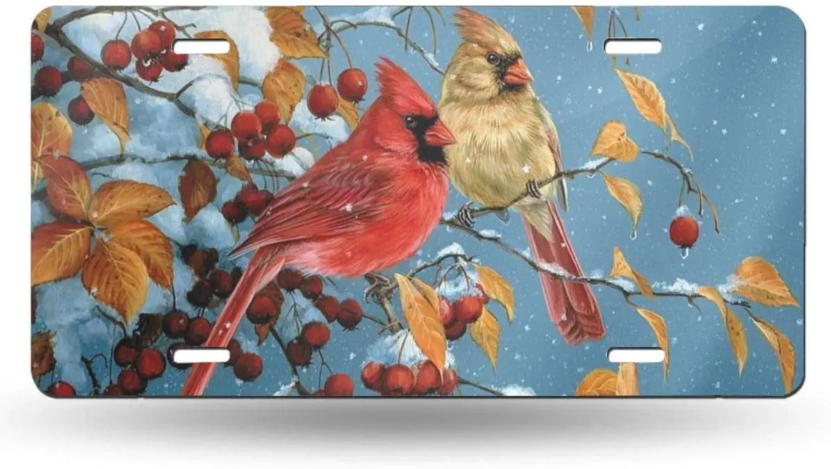 Christmas Red Bird License Plate Aluminum Winter Autumn Car Tag Cover Decor License Plates for Front of Car Metal Car Plate
Christmas Red Bird License Plate Aluminum Winter Autumn Car Tag Cover Decor License Plates for Front of Car Metal Car Plate