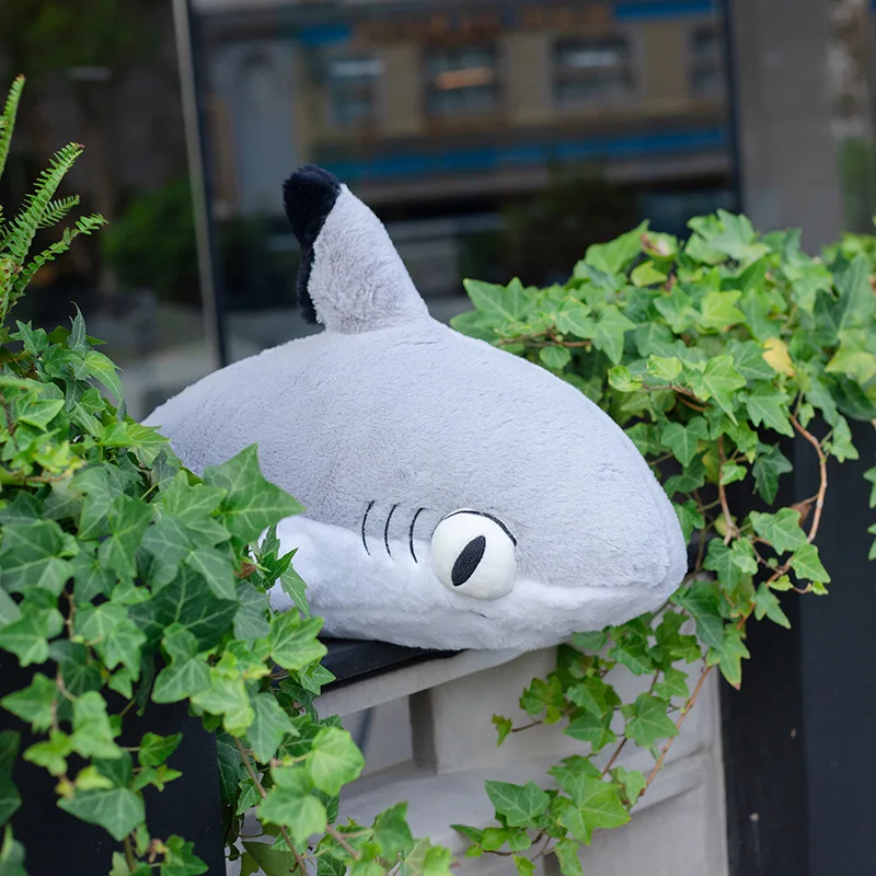 New 130cm Anime Plush Doll Toy Kawaii Shark Cat Sharkitty Pillow Soft Stuffed Sleeping Cushion Xmas Christmas Toy Gifts for Kids
New 130cm Anime Plush Doll Toy Kawaii Shark Cat Sharkitty Pillow Soft Stuffed Sleeping Cushion Xmas Christmas Toy Gifts for Kids