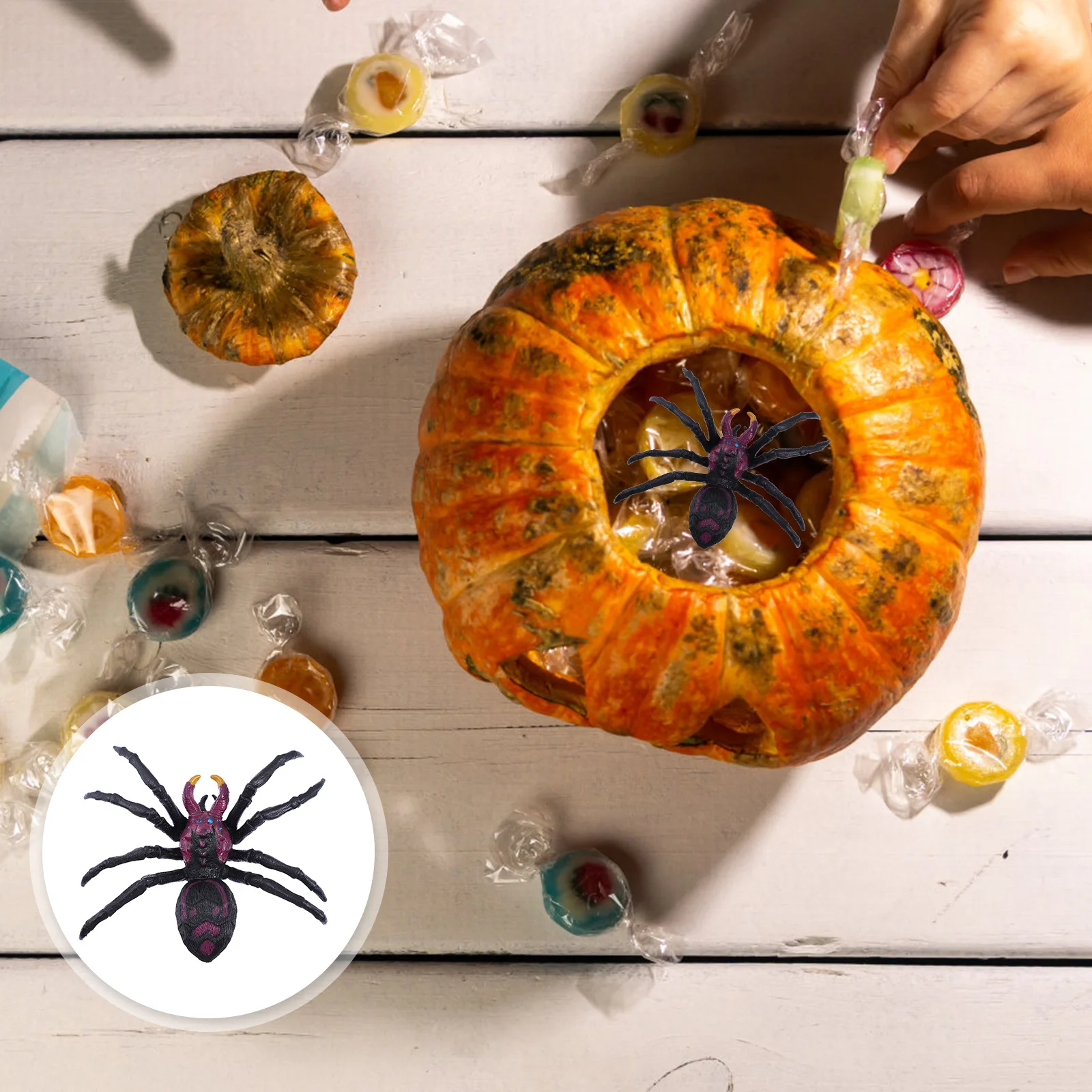 Black Spider Toy Halloween Prank Prop Childrens Toys Simulation Plastic for Fake Children’s
Black Spider Toy Halloween Prank Prop Childrens Toys Simulation Plastic for Fake Children’s