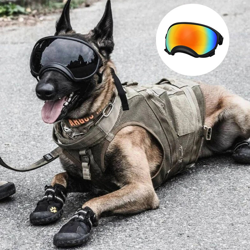 Dog Pet Glasses Outdoor Dog Fashion Sports Sunglasses Adjustable Strap for Travel Skiing and Anti-FogPet Goggles
Dog Pet Glasses Outdoor Dog Fashion Sports Sunglasses Adjustable Strap for Travel Skiing and Anti-FogPet Goggles