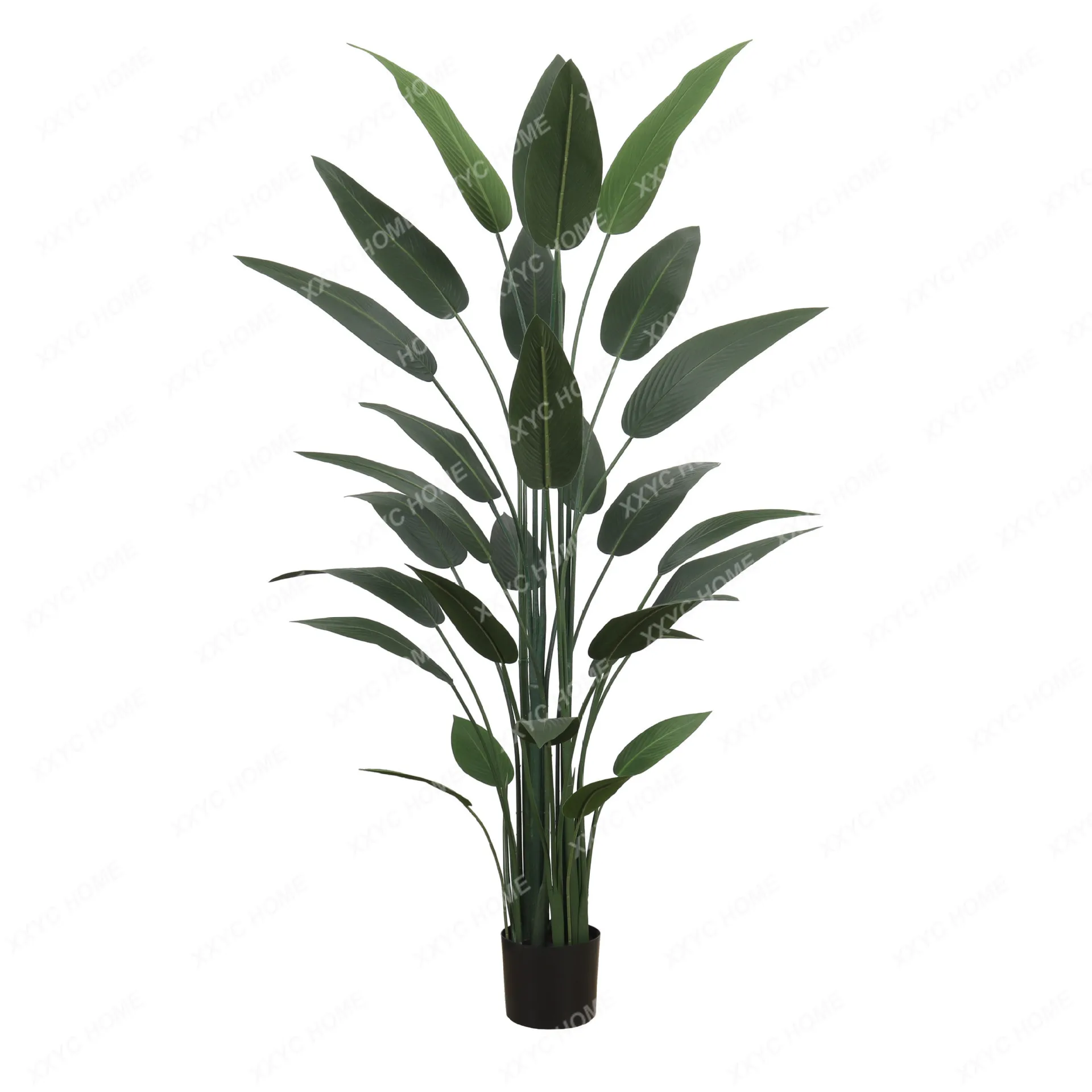 Artificial Green Plant Canna Potted Artificial Fake Trees Large Simulation Plant Bird of Paradise Decoration
Artificial Green Plant Canna Potted Artificial Fake Trees Large Simulation Plant Bird of Paradise Decoration
