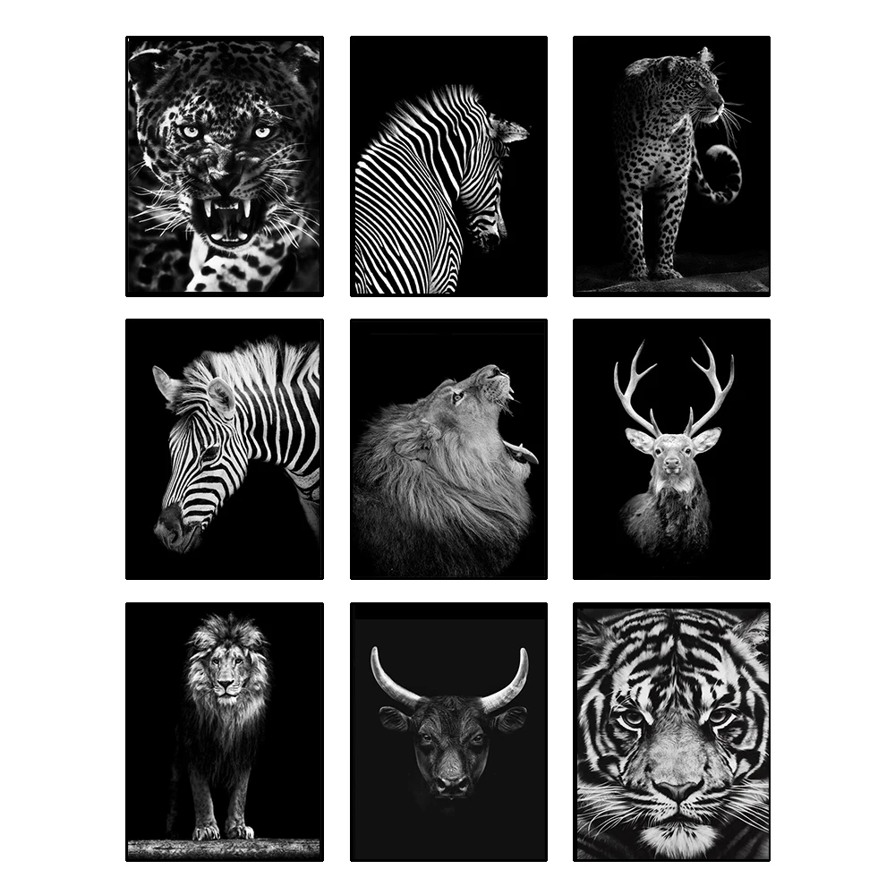 Painted black and white diamond 5D embroidered Square diamond animal cross stitch Rhinestone mosaic home decoration
Painted black and white diamond 5D embroidered Square diamond animal cross stitch Rhinestone mosaic home decoration