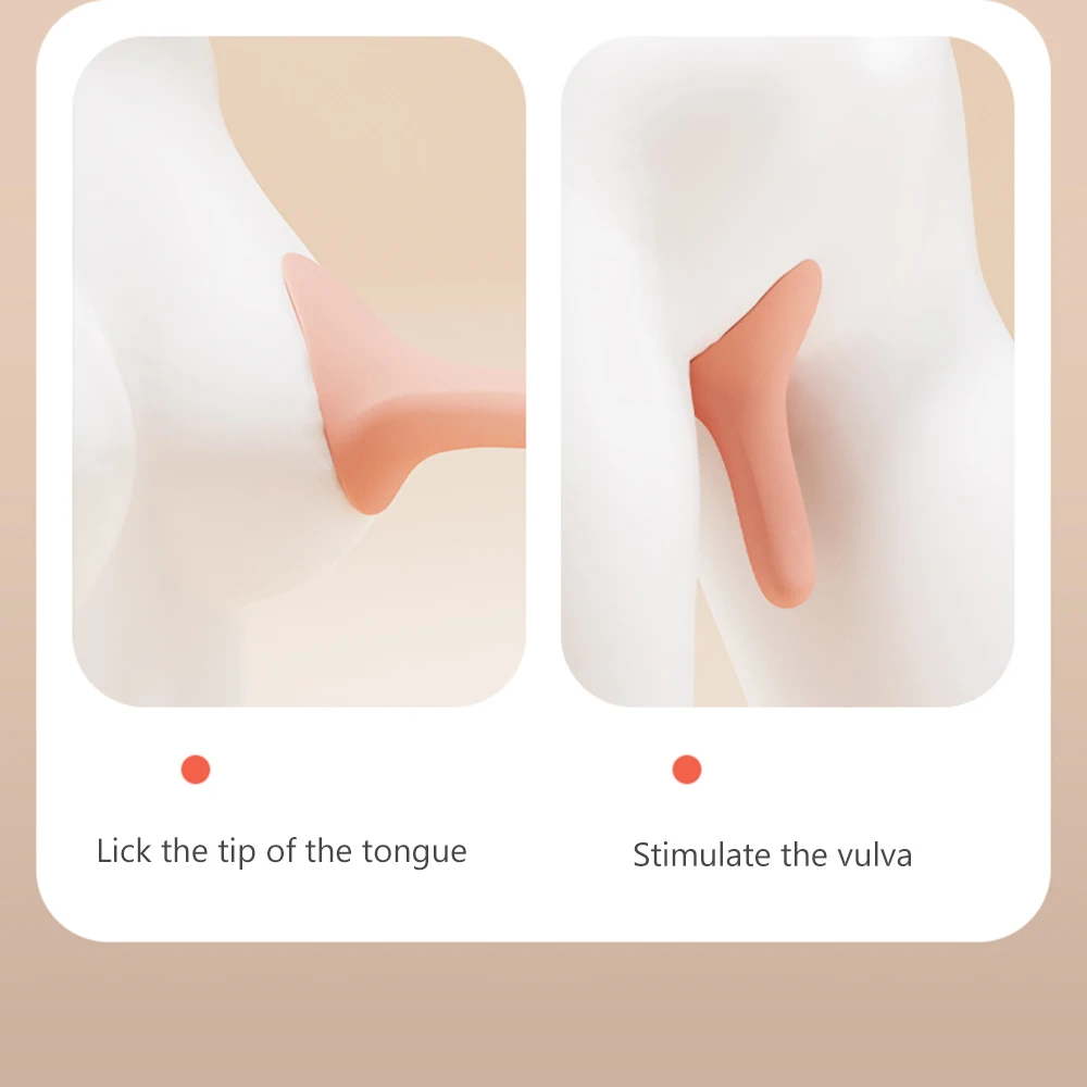 Vibromasseur suceur et léchage pour femme, 10 modes, clitoridien, langue, continents, stimulateur pour femme, orgasme, vagin, jouets sexuels, couple injuste 4