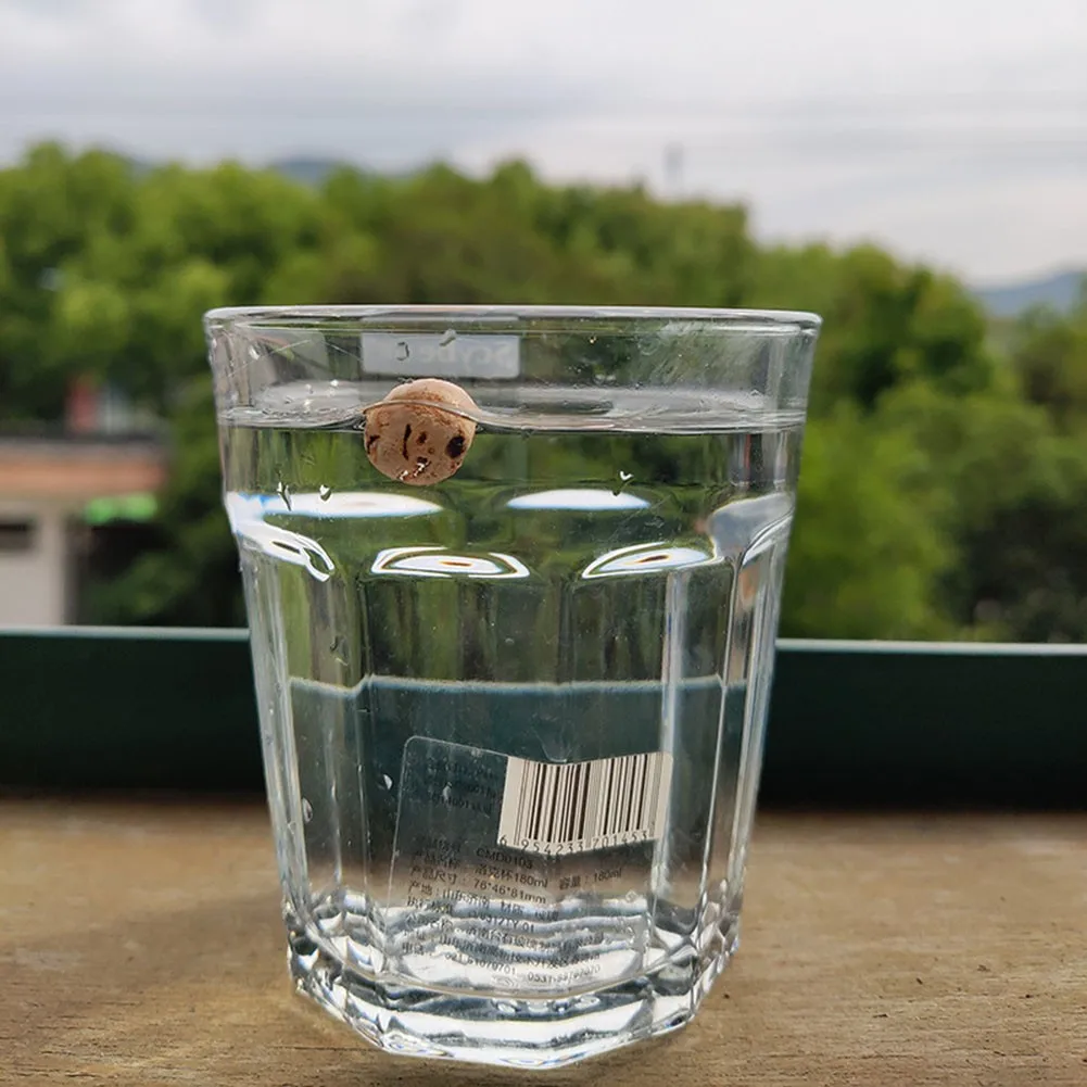 For Ronnie Hair Rig Carp Feeder Tackle Get Creative with 20pcs Cork Balls Perfect for DIY Crafts and Carp Fishing Pop Ups
For Ronnie Hair Rig Carp Feeder Tackle Get Creative with 20pcs Cork Balls Perfect for DIY Crafts and Carp Fishing Pop Ups