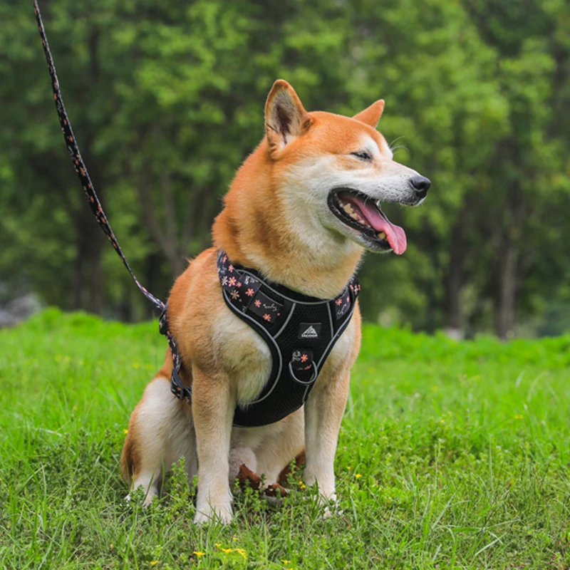 Adjustable Dog Harness Traction Vest Bra Reflective Walking Small Medium Large Safety Breathable Straps Pet Supplies Straps
Adjustable Dog Harness Traction Vest Bra Reflective Walking Small Medium Large Safety Breathable Straps Pet Supplies Straps