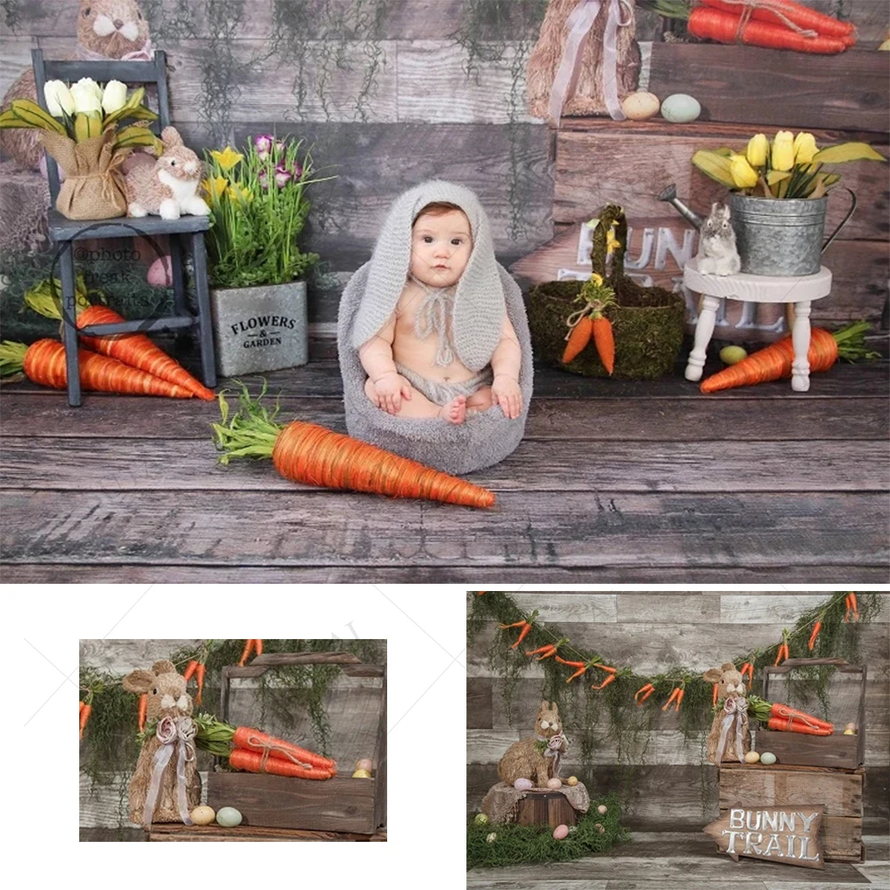 Easter Backdrops for Photography Decoration Bunny Wooden Board Carrot Eggs Rabbit Newborn Baby Children Photo Photograpic Props
Easter Backdrops for Photography Decoration Bunny Wooden Board Carrot Eggs Rabbit Newborn Baby Children Photo Photograpic Props