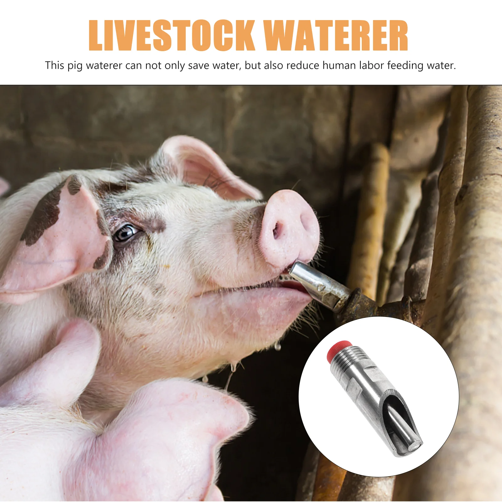 Small Multi-purposes Pigs Drinking Nozzle Piglets Water Feeder Piglets Waterer Automatic Pigs Waterer Pigs Drinking Tools
Small Multi-purposes Pigs Drinking Nozzle Piglets Water Feeder Piglets Waterer Automatic Pigs Waterer Pigs Drinking Tools