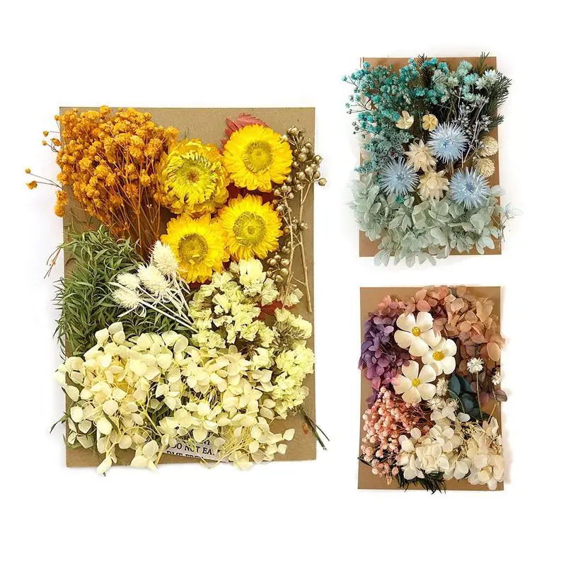 Dried Pressed Flowers Leaves Set Plant Herbarium For Craft Jewelry Making Perfect For Scrapbooking DIY Art Crafts Epoxy Resin
Dried Pressed Flowers Leaves Set Plant Herbarium For Craft Jewelry Making Perfect For Scrapbooking DIY Art Crafts Epoxy Resin