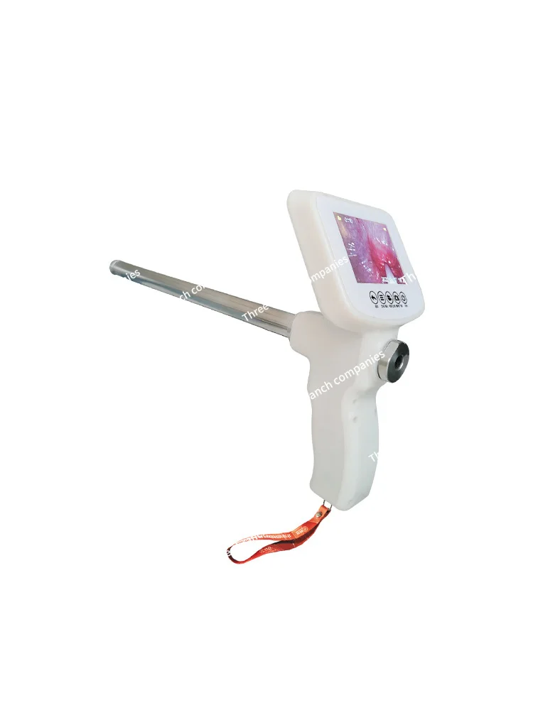 Novice Cattle Modified Insemination Gun Cattle Endoscope Cattle Artificial Cold Matching
Novice Cattle Modified Insemination Gun Cattle Endoscope Cattle Artificial Cold Matching