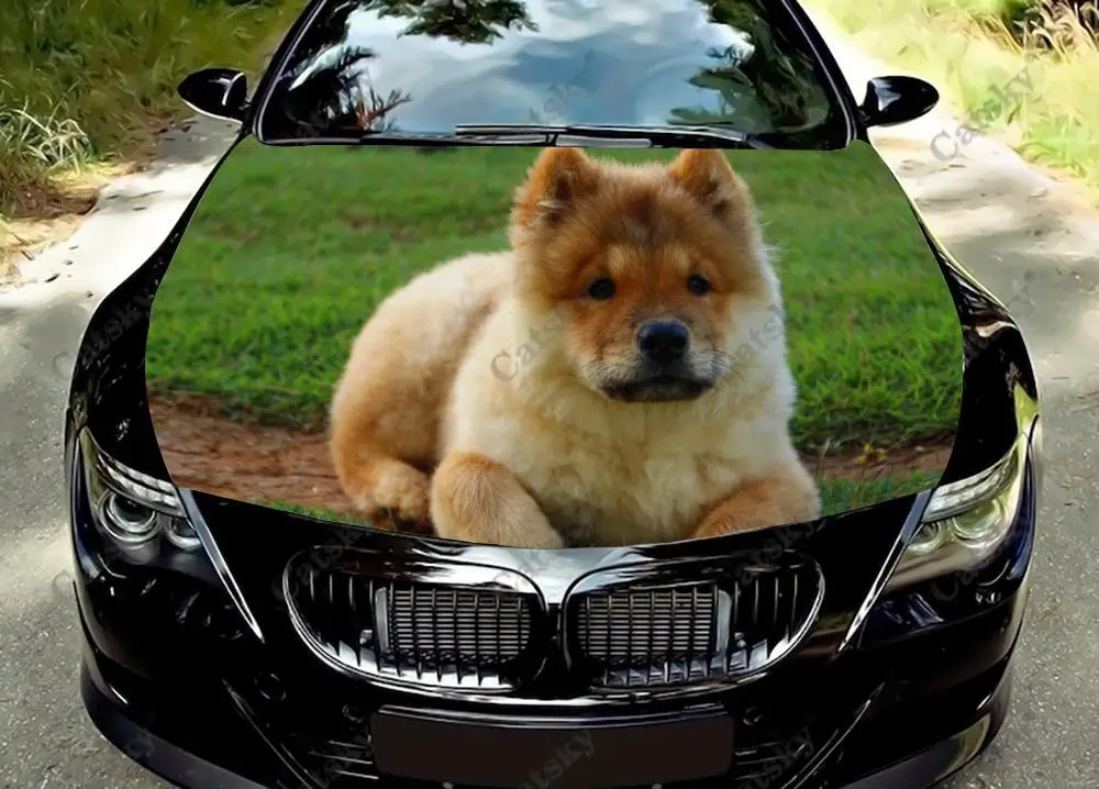 Animal Chow Chow Car Hood Vinyl Decal Stickers Wrap Vinyl Film Engine Cover Decals Sticker Car Hood Cover Decal Film
Animal Chow Chow Car Hood Vinyl Decal Stickers Wrap Vinyl Film Engine Cover Decals Sticker Car Hood Cover Decal Film