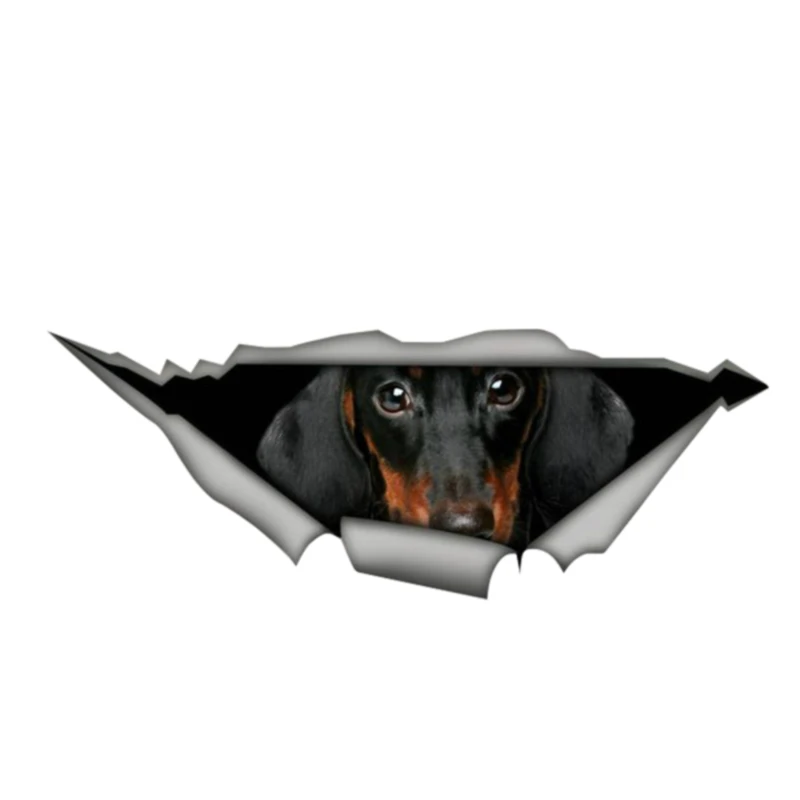 Car Stickers Funny Dachshund Torn Metal Waterproof Creative PVC Decals Laptop Window Motorcycle Car Exterior Decoration
Car Stickers Funny Dachshund Torn Metal Waterproof Creative PVC Decals Laptop Window Motorcycle Car Exterior Decoration