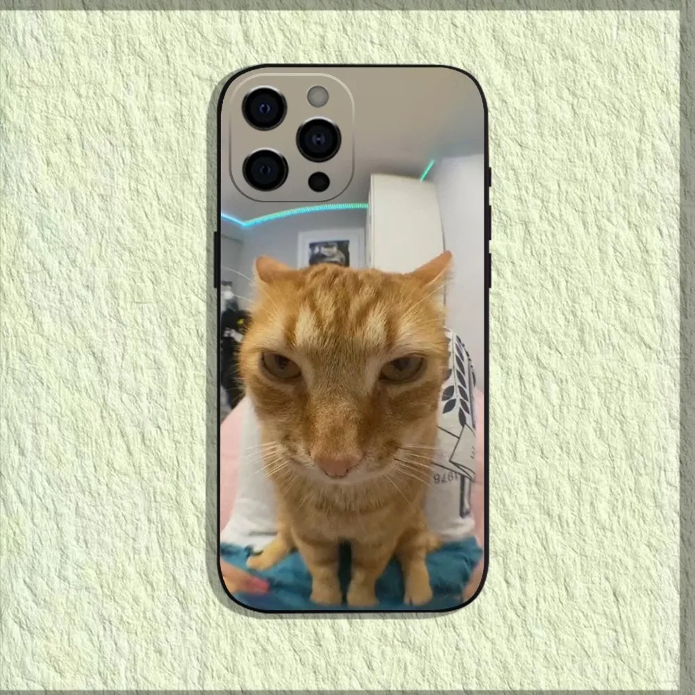 Pet Cat Funny memes Phone Case For iPhone 16,15,14,13,12,11,Pro,X,XS,Max,XR,Plus,Mini Soft Black Cover Pet Cat Funny memes Phone Case For iPhone 16,15,14,13,12,11,Pro,X,XS,Max,XR,Plus,Mini Soft Black Cover