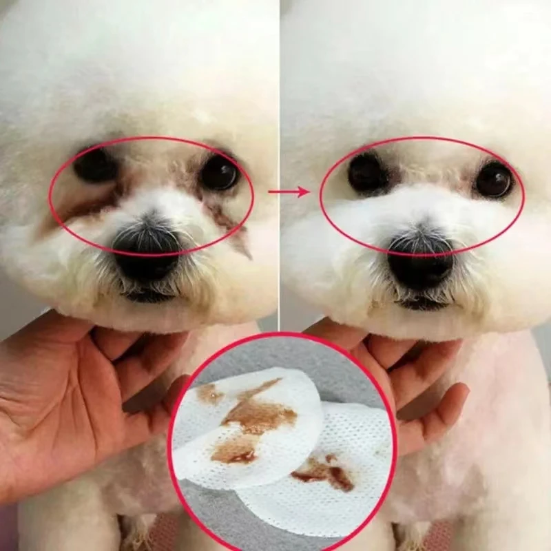 200Pcs Pet Eye Wet Wipes Dog Cat Pet Cleaning Wipes Cleaning & Deodorizing Dog Face Wipes For Discharge And Crust
200Pcs Pet Eye Wet Wipes Dog Cat Pet Cleaning Wipes Cleaning & Deodorizing Dog Face Wipes For Discharge And Crust
