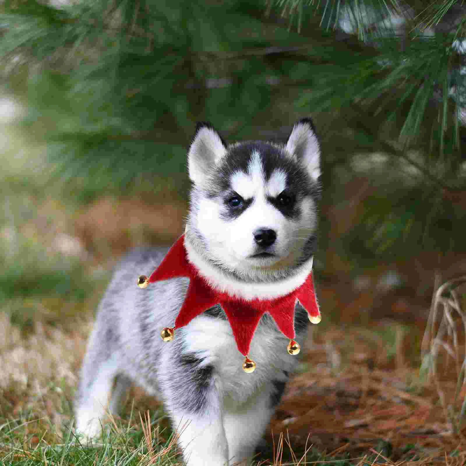 Kitten Collars Pet Triangle Neck Scarf Bell for Christmas Bow Tie Xs Neckerchief
Kitten Collars Pet Triangle Neck Scarf Bell for Christmas Bow Tie Xs Neckerchief