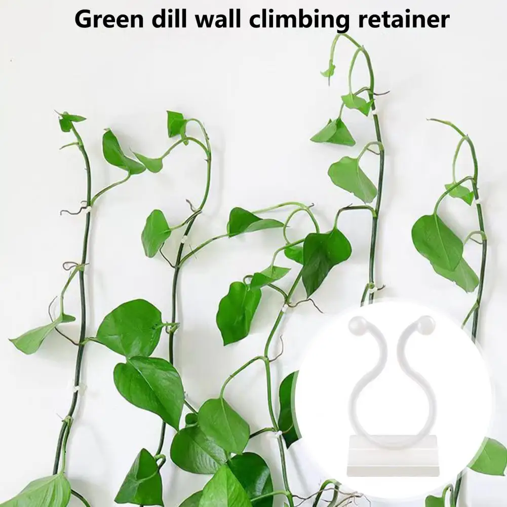 50Pcs Vine Fixing Clip Punch Free Self-adhesive Wall Climbing Plant Branch Binding Fixer Balcony Supplies Cable Organizers
50Pcs Vine Fixing Clip Punch Free Self-adhesive Wall Climbing Plant Branch Binding Fixer Balcony Supplies Cable Organizers
