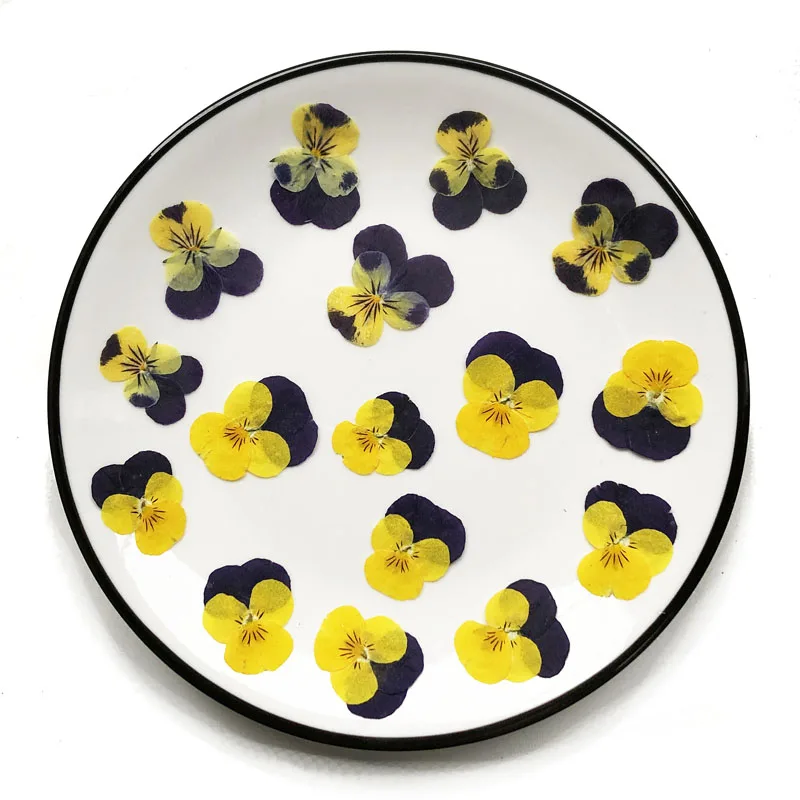 Сушеные прессованные фиолетовые + желтые Pansy Corydalis Suaveolens Hance, цветочные растения, гербарий для ювелирных изделий, открыток, Закладка «сделай сам», 60 шт.
Сушеные прессованные фиолетовые + желтые Pansy Corydalis Suaveolens Hance, цветочные растения, гербарий для ювелирных изделий, открыток, Закладка «сделай сам», 60 шт.