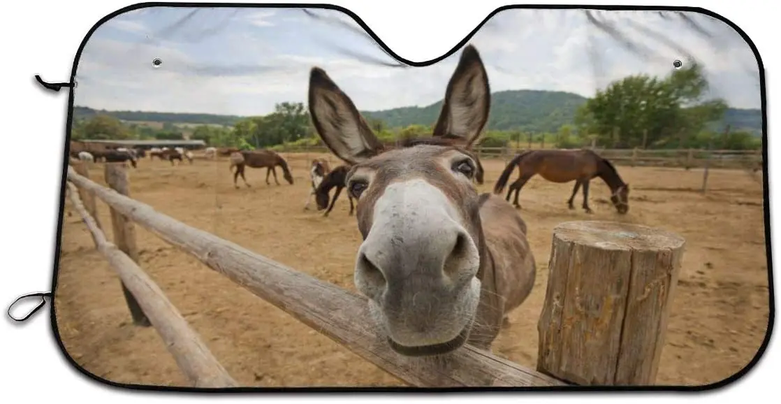 Foruidea Funny Donkey Car Windshield Sun Shade Auto Sunshade for Car Truck SUV-Blocks Uv Rays Sun Visor Protector-Keeps Your Veh
Foruidea Funny Donkey Car Windshield Sun Shade Auto Sunshade for Car Truck SUV-Blocks Uv Rays Sun Visor Protector-Keeps Your Veh