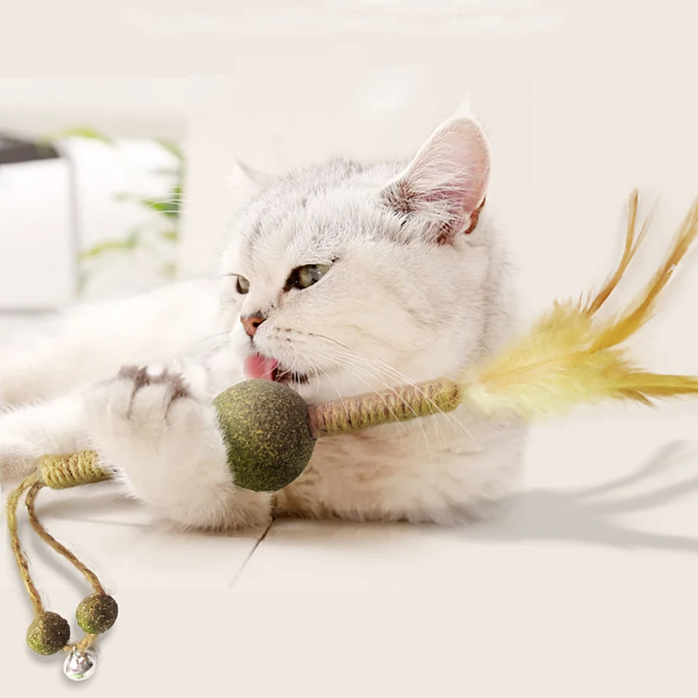 Cat chewing stick, cat teasing stick, cat teething stick, sisal, catnip, cat toy, mutton polygonum rope belt, bell, feather
Cat chewing stick, cat teasing stick, cat teething stick, sisal, catnip, cat toy, mutton polygonum rope belt, bell, feather
