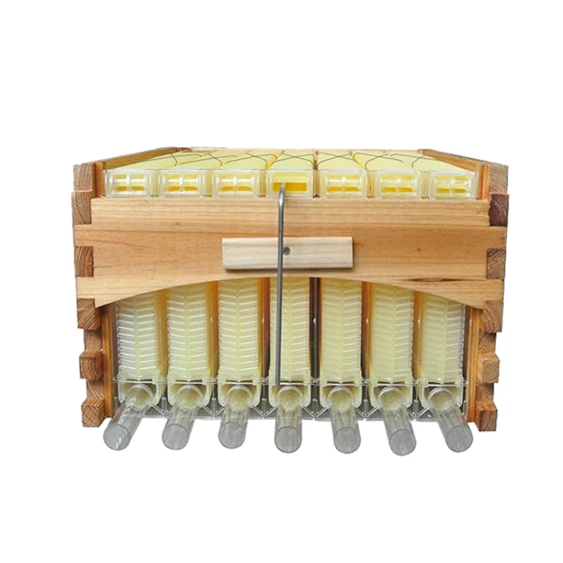 Automatic Beehive Golden Palace Flowing Super Honey Super with 7PCS Flows Frames
Automatic Beehive Golden Palace Flowing Super Honey Super with 7PCS Flows Frames