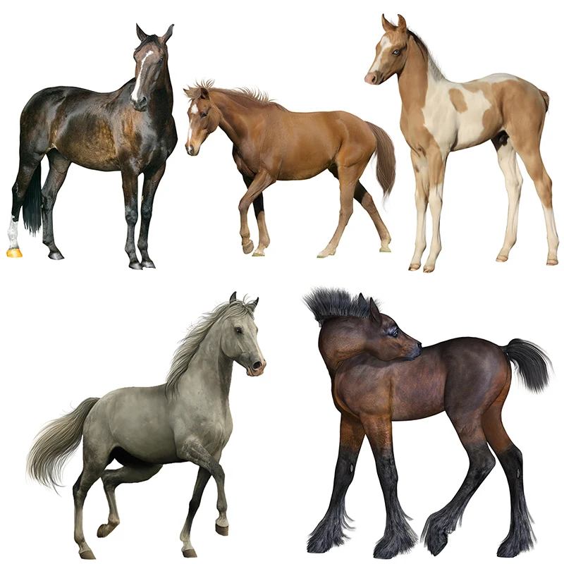 M1062# Beautiful Horses Car Stickers For Boys Room Decoration Car Hood Poster Self Adhesive Waterproof Car Accessories Decor
M1062# Beautiful Horses Car Stickers For Boys Room Decoration Car Hood Poster Self Adhesive Waterproof Car Accessories Decor