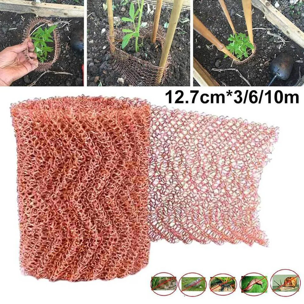 Copper Mesh Slug Repeller Rustproof Slug Repellent Copper Net Long Lasting Snail Repel Tool for Mouse Rat Rodent Control: 3 - 5 Days Free Delivery Only UK Copper Mesh Slug Repeller Rustproof Slug Repellent Copper Net Long Lasting Snail Repel Tool for Mouse Rat Rodent Control: 3 - 5 Days Free Delivery Only UK