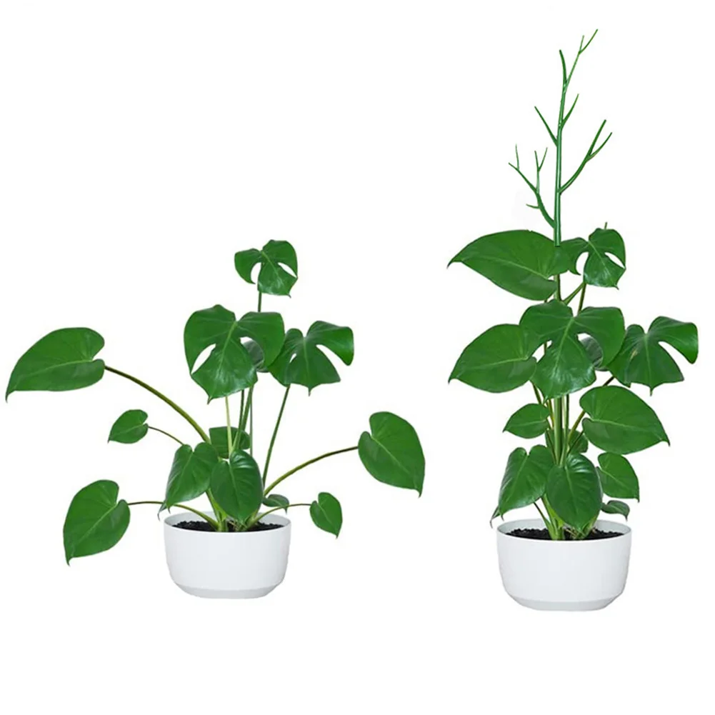 Plant Climbing Frame Plant Support Rack Garden Plant Growth Accessories Climbing Holder Flower Vine Stand Leaf Shape
Plant Climbing Frame Plant Support Rack Garden Plant Growth Accessories Climbing Holder Flower Vine Stand Leaf Shape