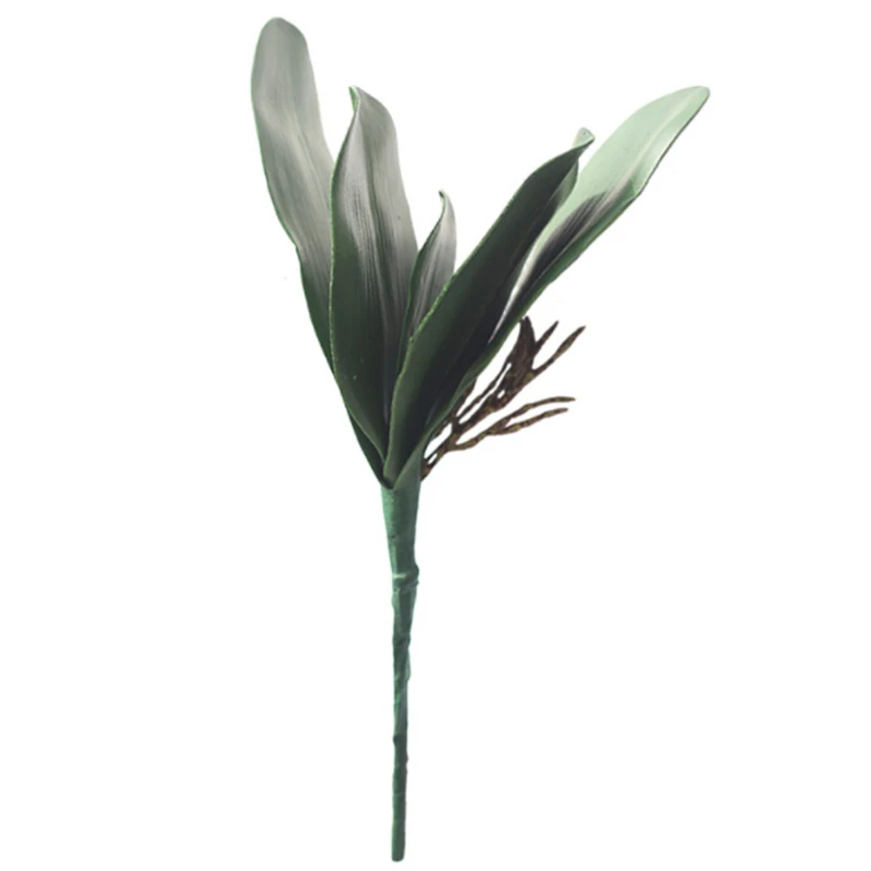 Artificial moth orchid leaves Decoration Artificial Leaves Butterfly Orchid Wedding Party Fake Flowers Best Seller
Artificial moth orchid leaves Decoration Artificial Leaves Butterfly Orchid Wedding Party Fake Flowers Best Seller
