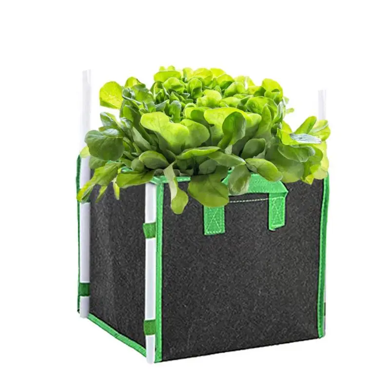 Plant Growing Bags Heavy Duty Nonwoven Fabric Grow Bags With Handles Plant Growing Containers Bags For Indoor Garden Vegetables
Plant Growing Bags Heavy Duty Nonwoven Fabric Grow Bags With Handles Plant Growing Containers Bags For Indoor Garden Vegetables