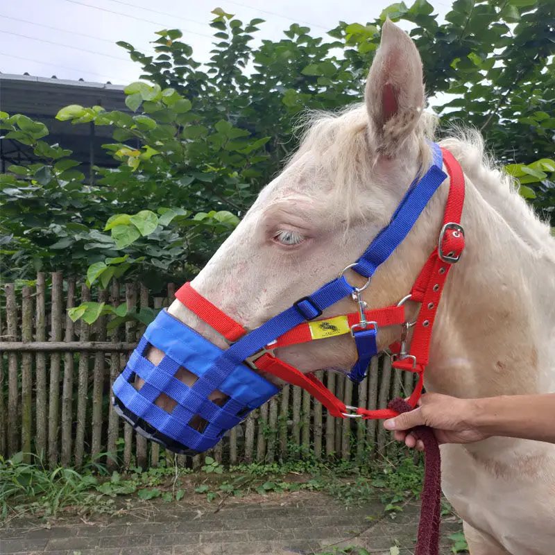 Horse mask harness supplies horse mouth cover insect-proof horse mouth cover horse mouth cover 
Horse mask harness supplies horse mouth cover insect-proof horse mouth cover horse mouth cover