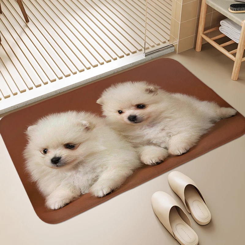 

Pomeranian Dog Carpet for Bedroom Floor Mats Front Door Washable Non-slip Kitchen Rug Entrance Doormat Room Decorating Items