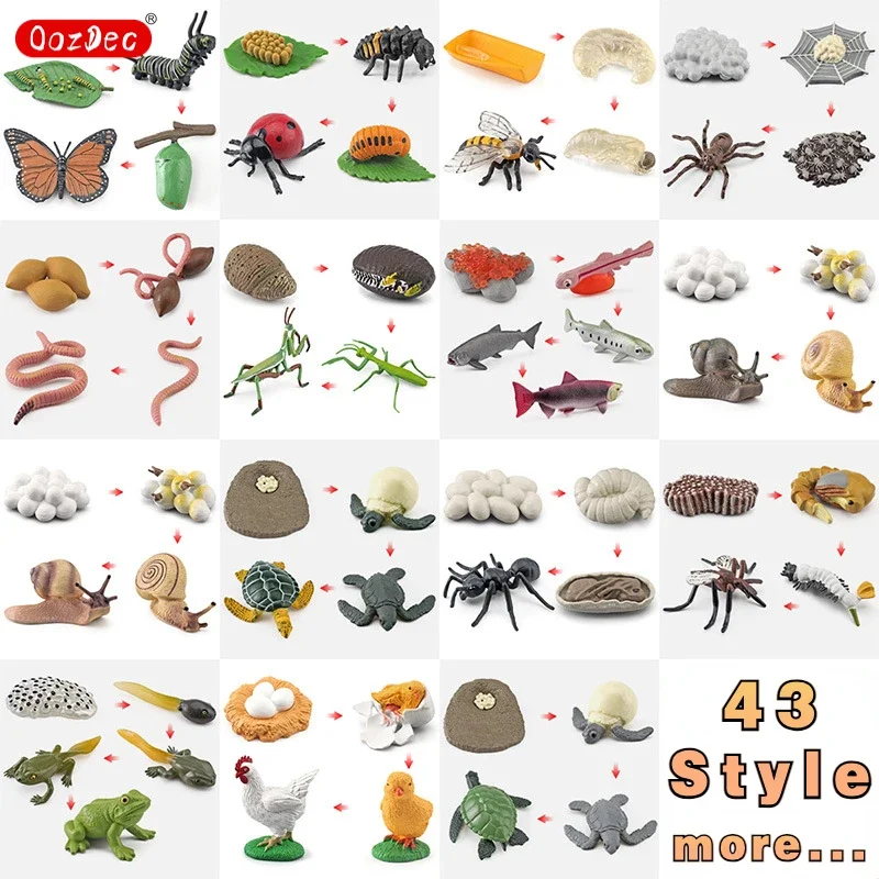 Life Cycle Learning & Education Montessori Toys, 43 Style Animal Figurines of Frog, Butterfly, Chicken, Mantis, Age 3+
Life Cycle Learning & Education Montessori Toys, 43 Style Animal Figurines of Frog, Butterfly, Chicken, Mantis, Age 3+