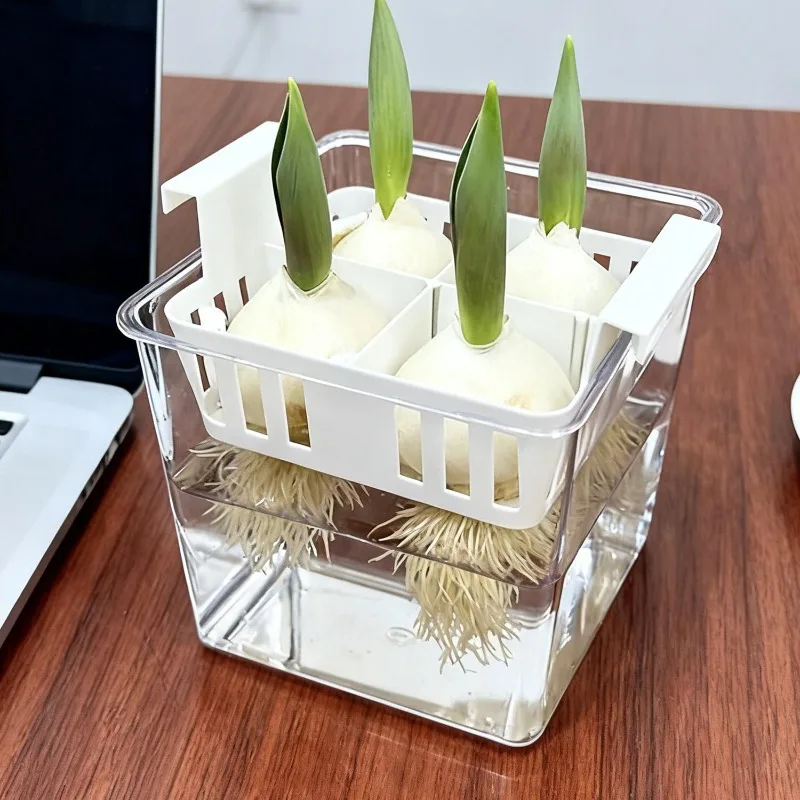 4-Grid Acrylic Hydroponic Flower Pot for Tulips & Indoor Plants S34dd885203aa4965ae46566d4aca8cadG