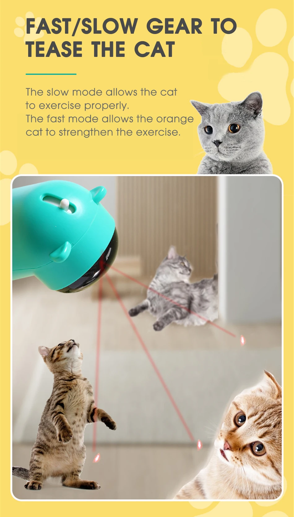 S34e83a07d0d54b7586e7d05c17782beas