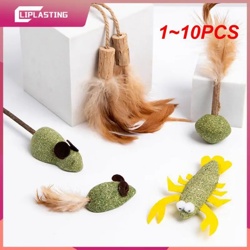 1-10 шт., мята для домашних животных
1-10 шт., мята для домашних животных