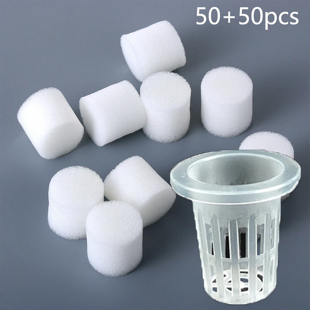 100/50/20*Netpot 35-50mm Vegetable Net Cups Pot Slotted Mesh Soilless Culture For Hydroponics/Aquaponics/Orchids Planter Plastic
100/50/20*Netpot 35-50mm Vegetable Net Cups Pot Slotted Mesh Soilless Culture For Hydroponics/Aquaponics/Orchids Planter Plastic