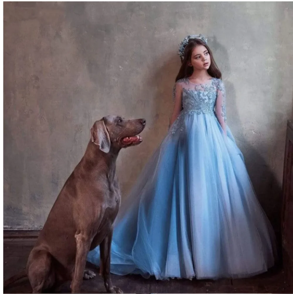 

Long Sleeves Flower Girl Dresses Elegant Blue For Wedding Princess Tulle Appliques Pageant First Communion Customize Gowns