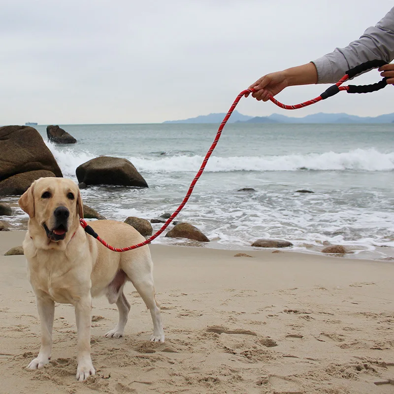 Width 1cm Strong Dog Leash Pet Leashes Reflective Leash For Big Small Medium Large Dog Leash Drag Pull Tow Golden Retriever
Width 1cm Strong Dog Leash Pet Leashes Reflective Leash For Big Small Medium Large Dog Leash Drag Pull Tow Golden Retriever